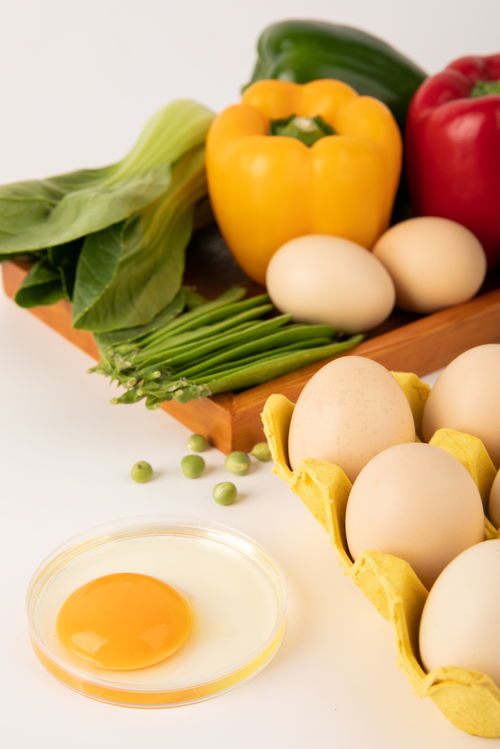 鸡蛋食品安全农业科技食品培育摄影图 插画 下载至来源处